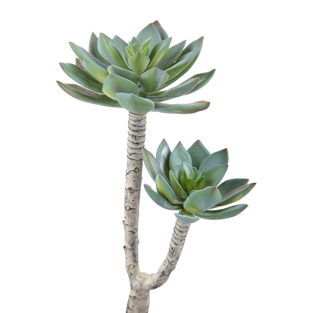 2 Pezzi • Succulent a 2 diramazioni artificiale • 22 cm