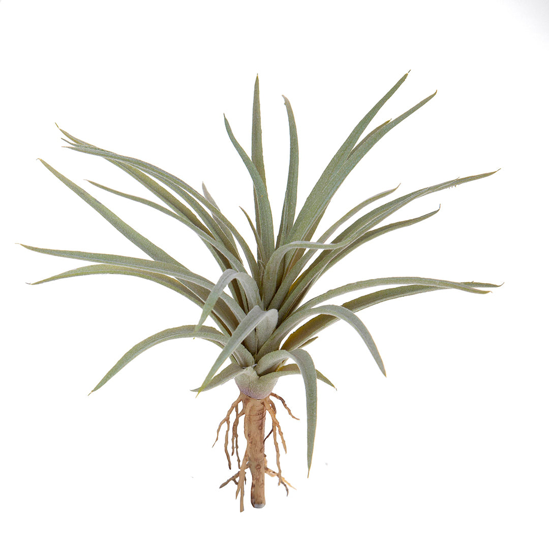 2 Pezzi • Tillandsia artificiale • 16 cm