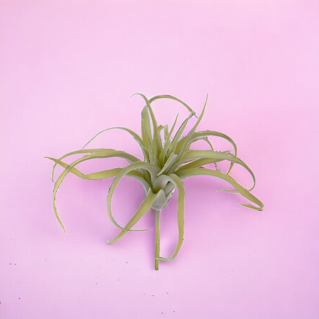 4 Pezzi • Tillandsia artificiale • 25 cm