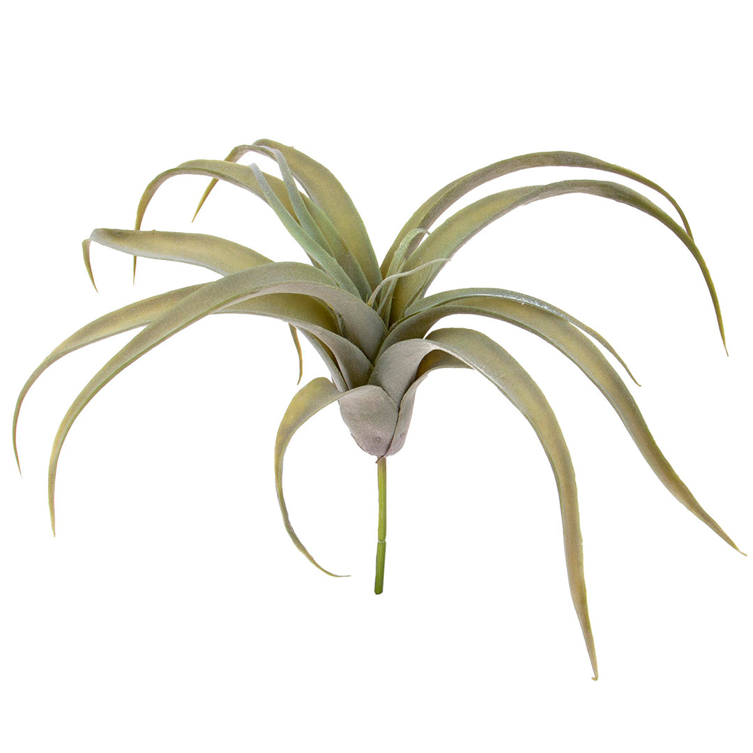 Tillandsia artificiale • 30 cm
