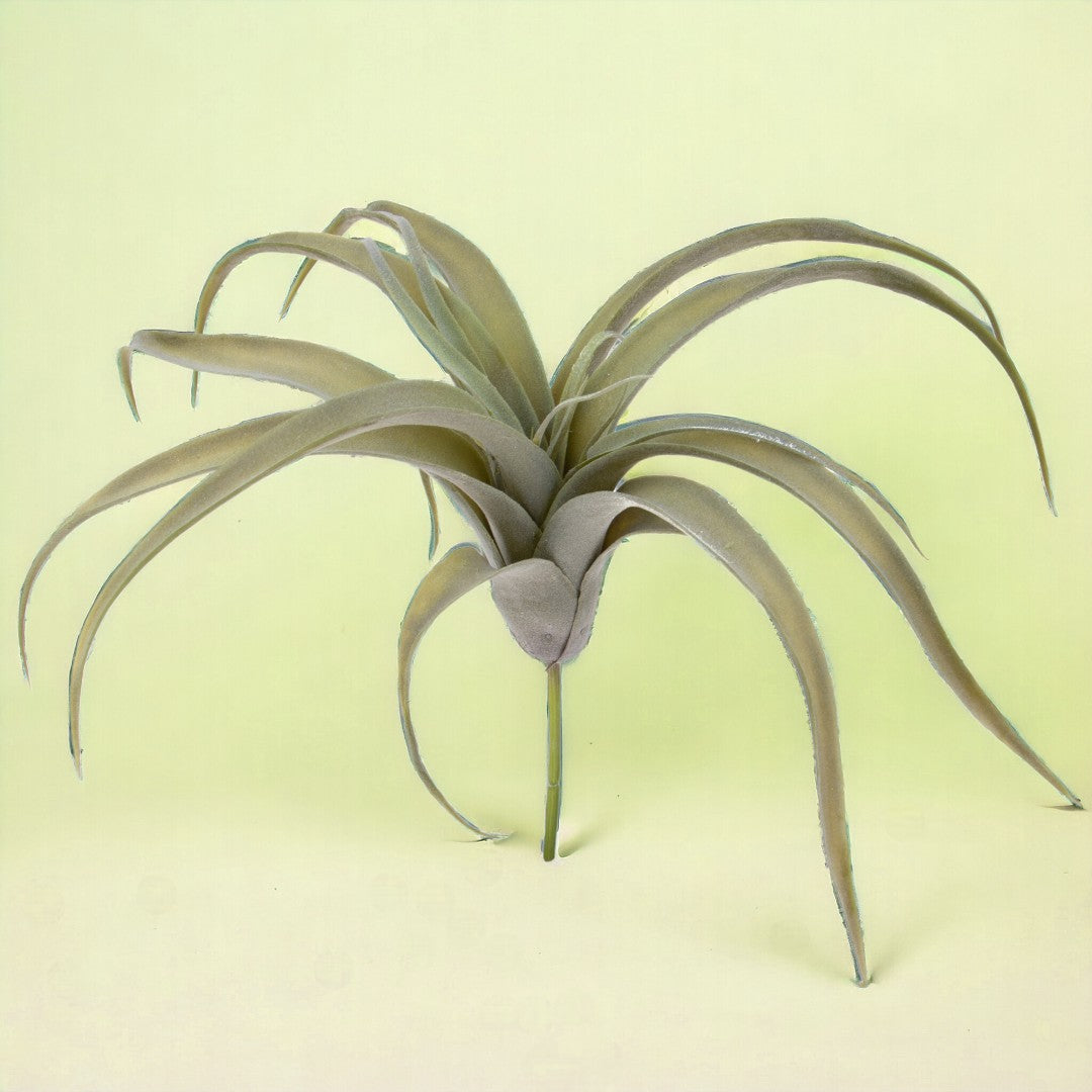 Tillandsia artificiale • 30 cm