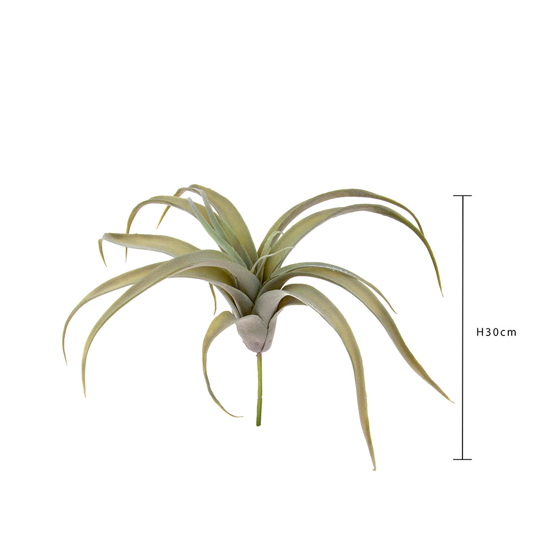 Tillandsia artificiale • 30 cm