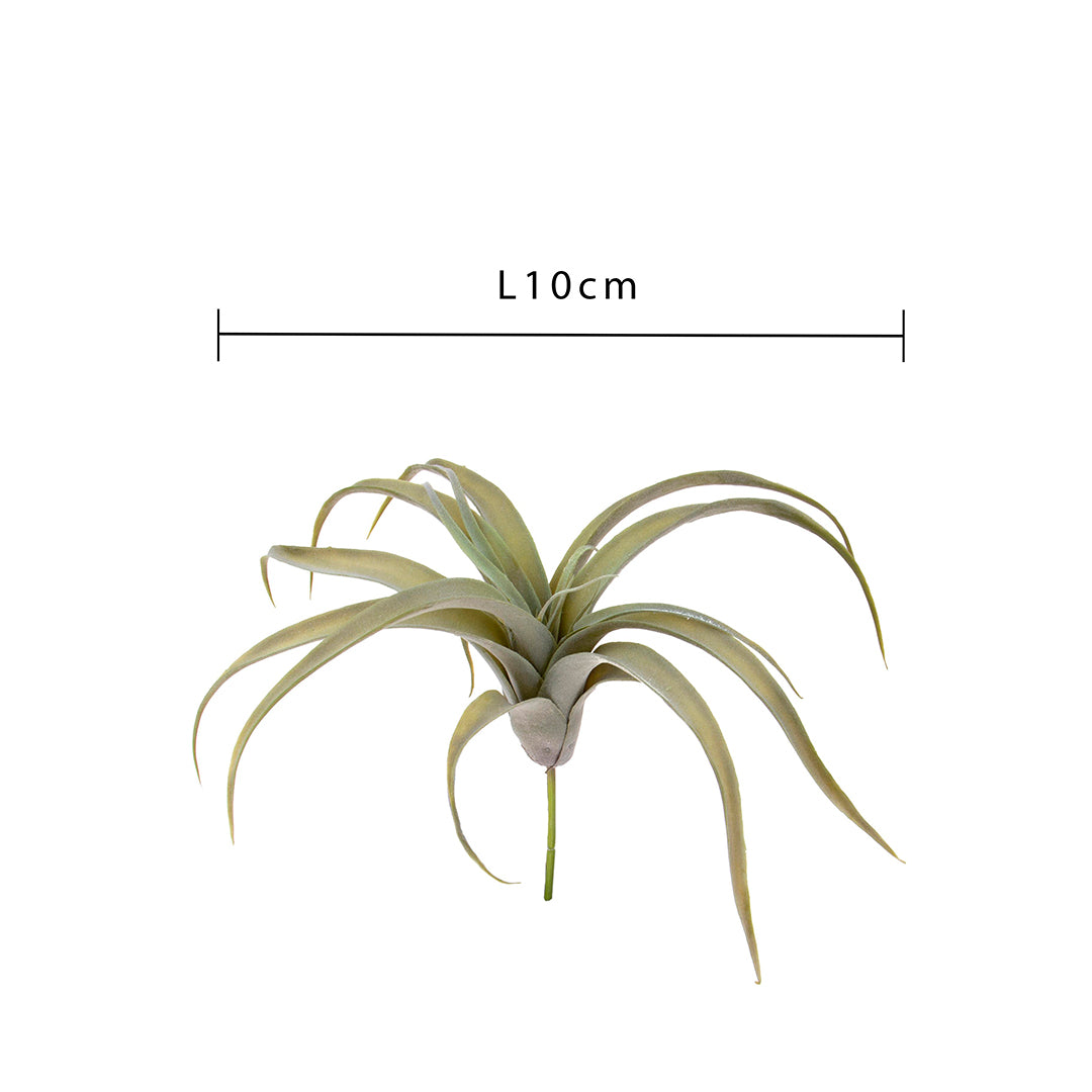 Tillandsia artificiale • 30 cm