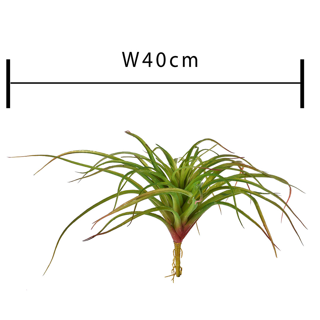 Tillandsia misure artificiale • 40 cm