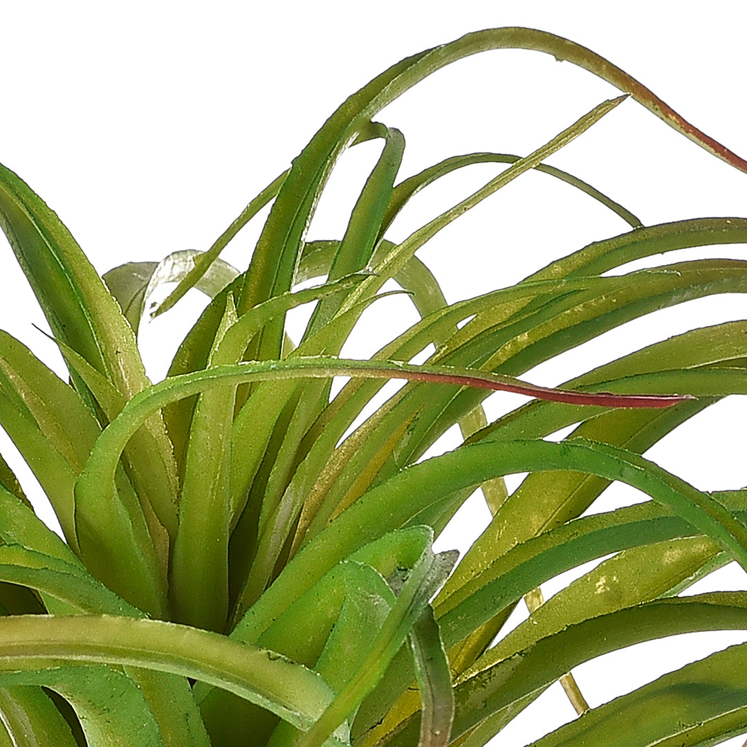 Tillandsia misure artificiale • 40 cm