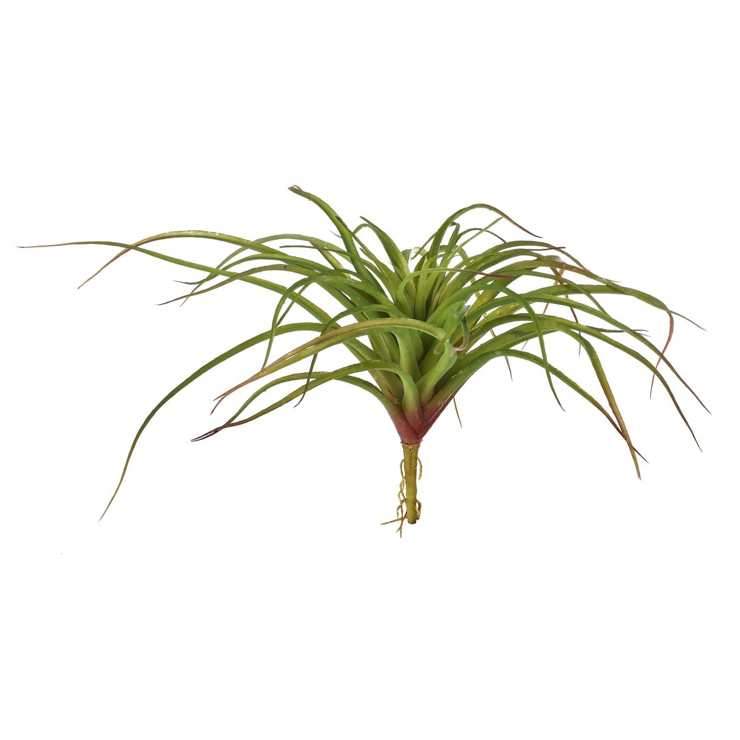 Tillandsia misure artificiale • 40 cm