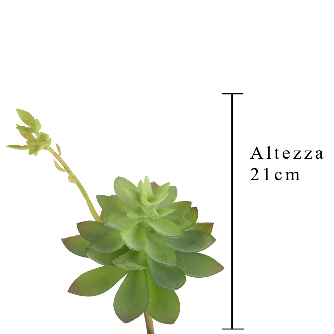 4 Pezzi • Echeveria cactus artificiale • 21 cm