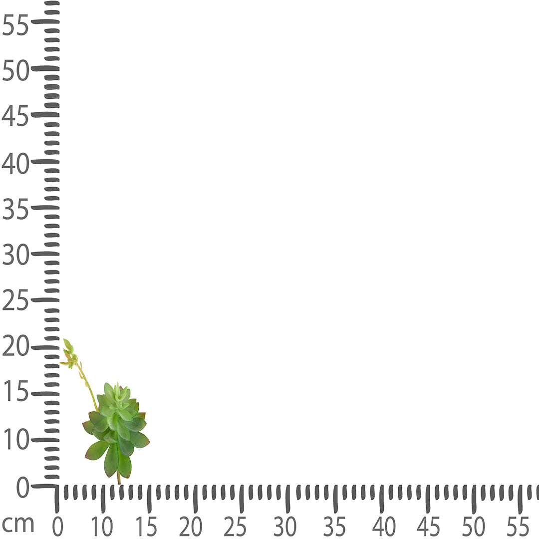 4 Pezzi • Echeveria cactus artificiale • 21 cm