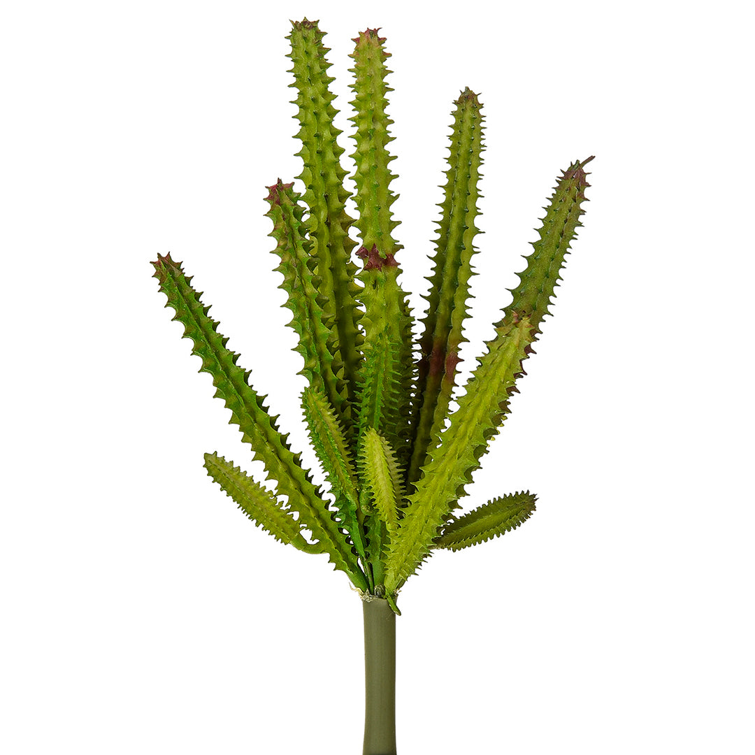 4 Pezzi • Staphelia cactus artificiale • 23 cm