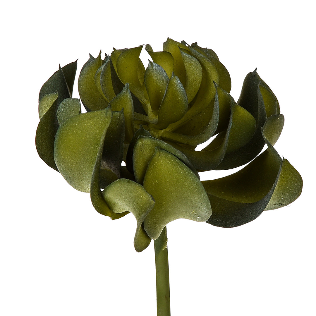 4 Pezzi • Aoenium arboreum artificiale • 13 cm