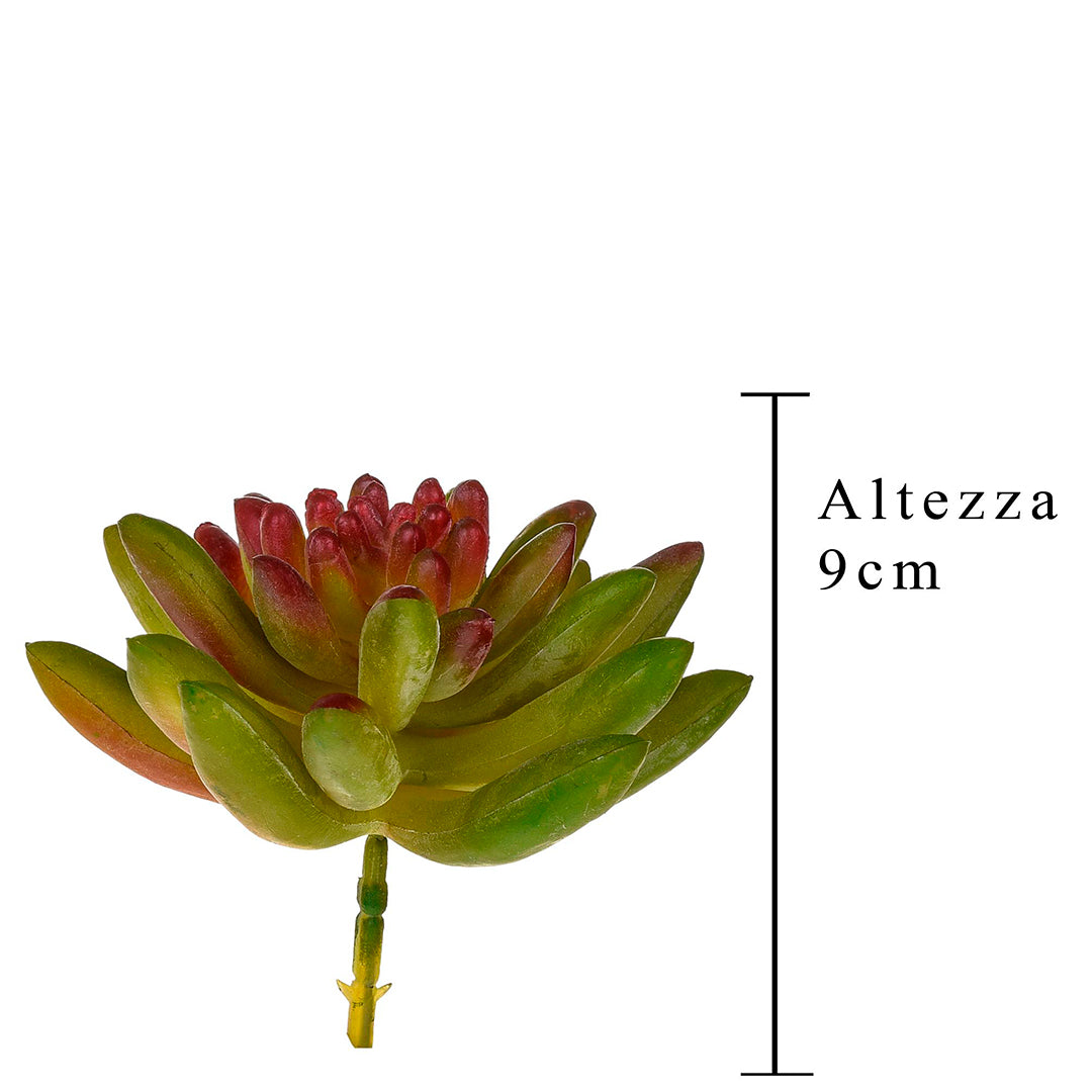 4 Pezzi • Crassula cactus artificiale • 9 cm