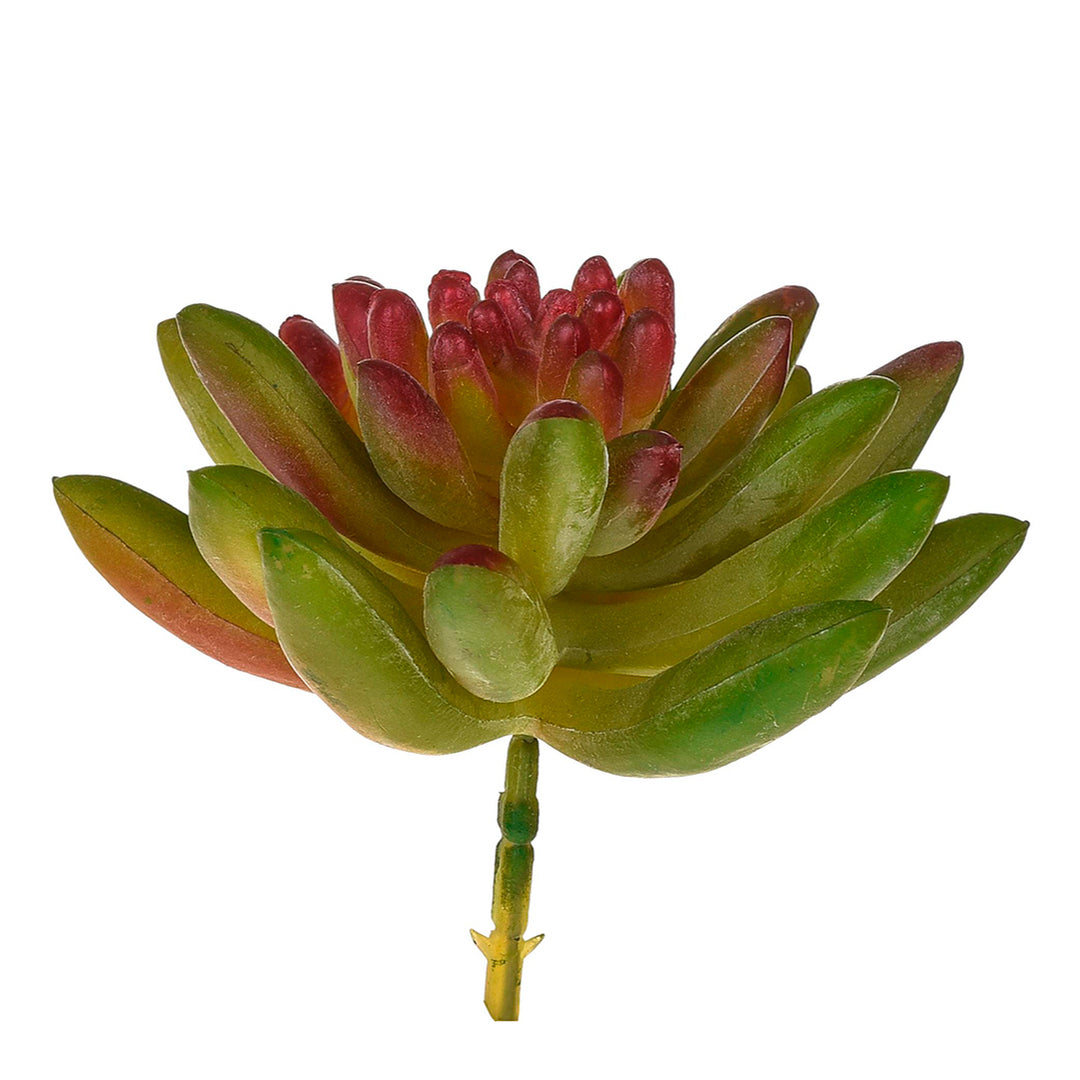8 Pezzi • Crassula cactus artificiale • 9 cm
