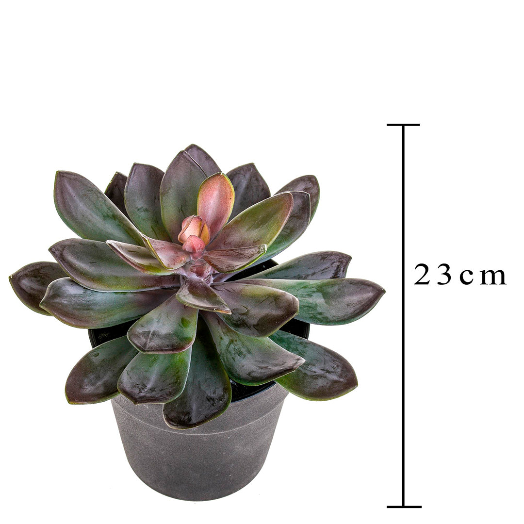 Pianta artificiale Succulent con vaso • 20 cm