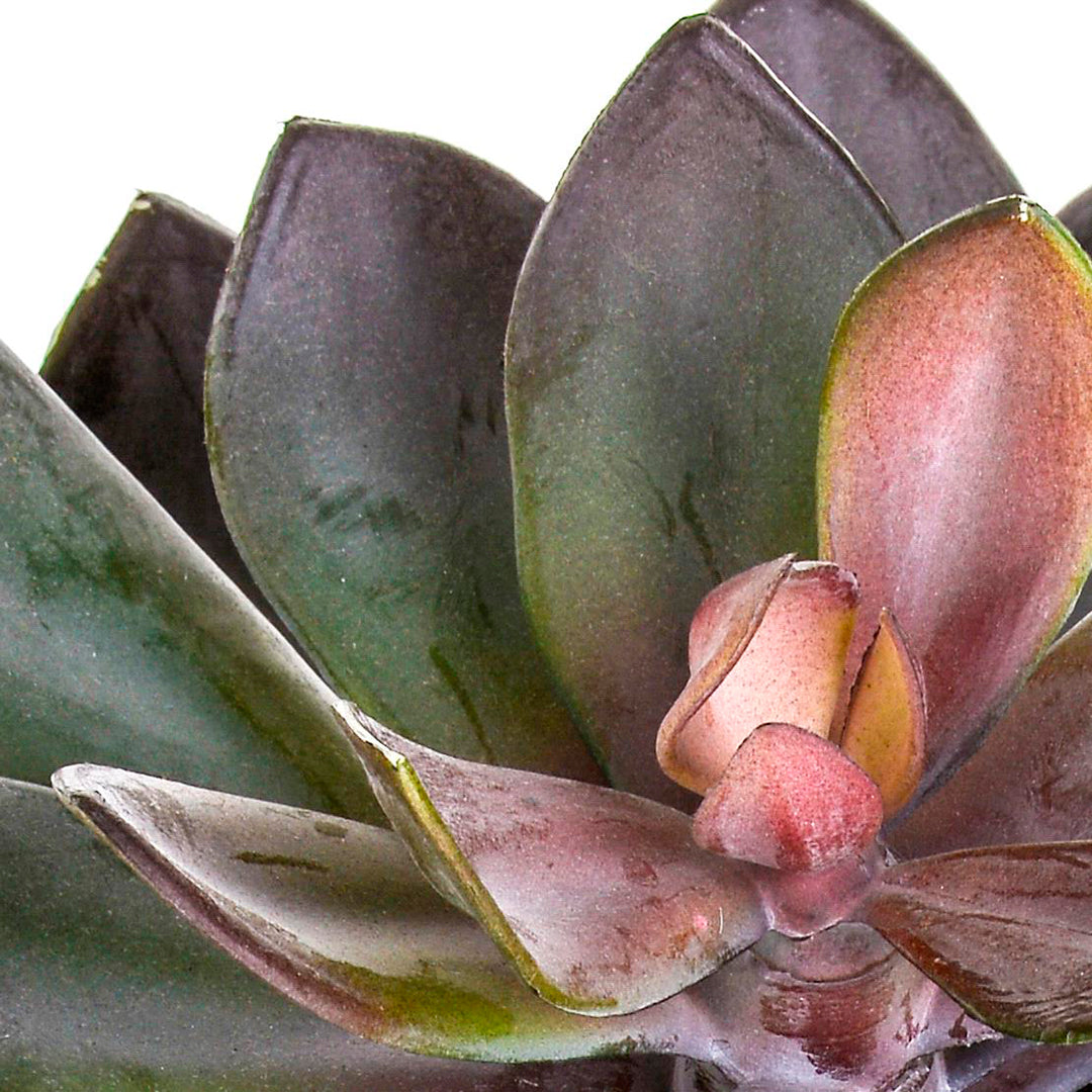 Pianta artificiale Succulent con vaso • 20 cm