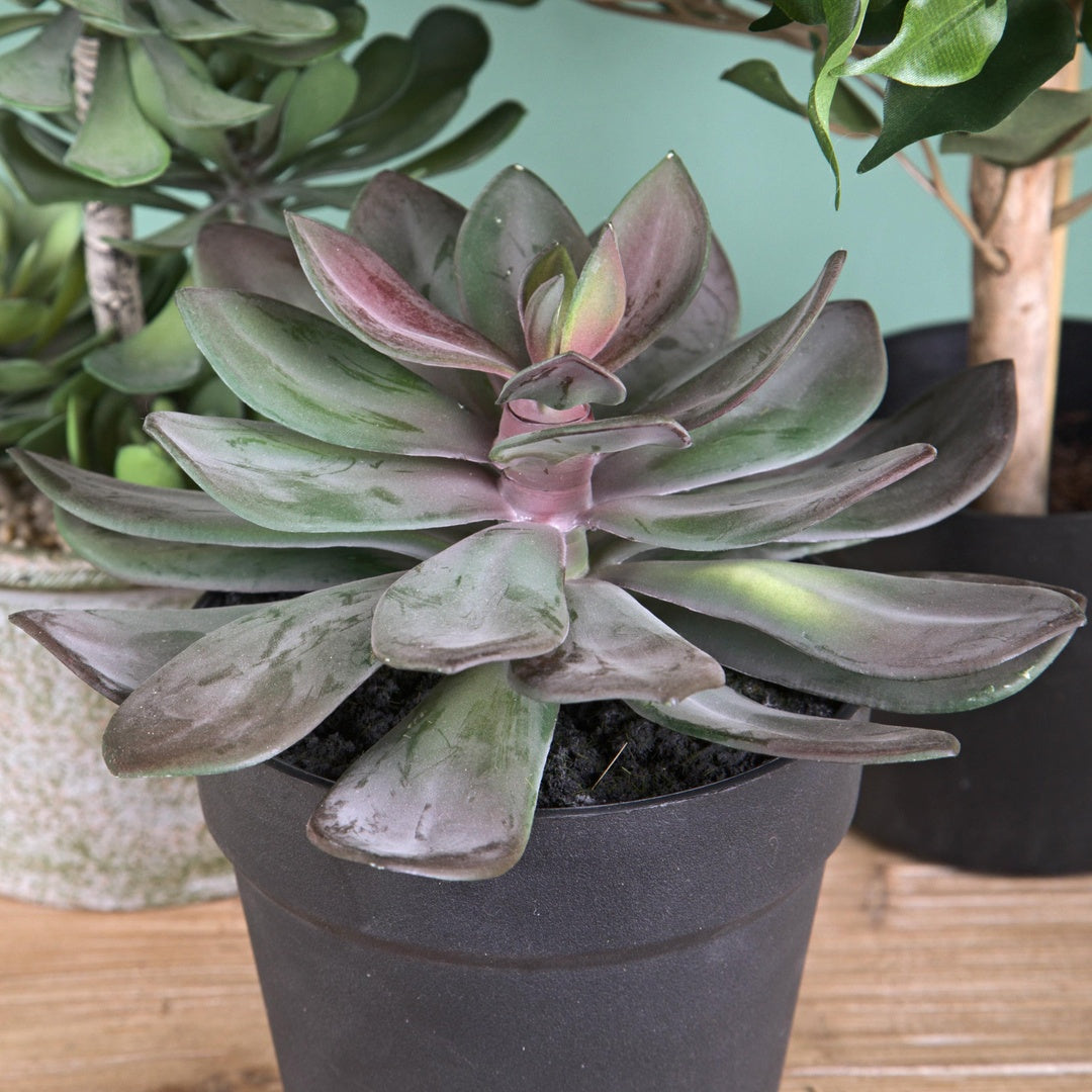 Pianta artificiale Succulent con vaso • 20 cm