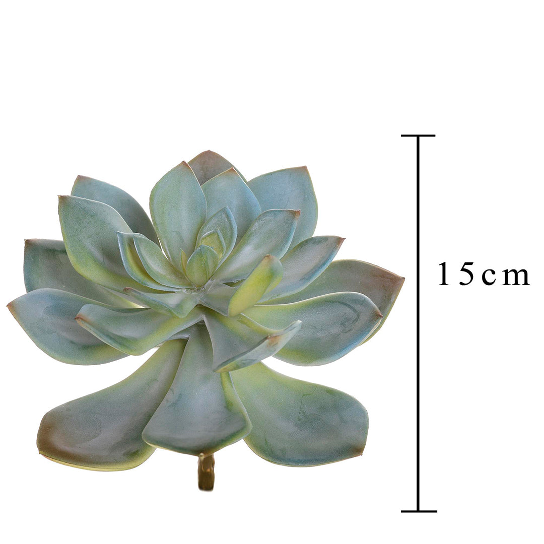 2 Pezzi • Succulent artificiale • 15 cm