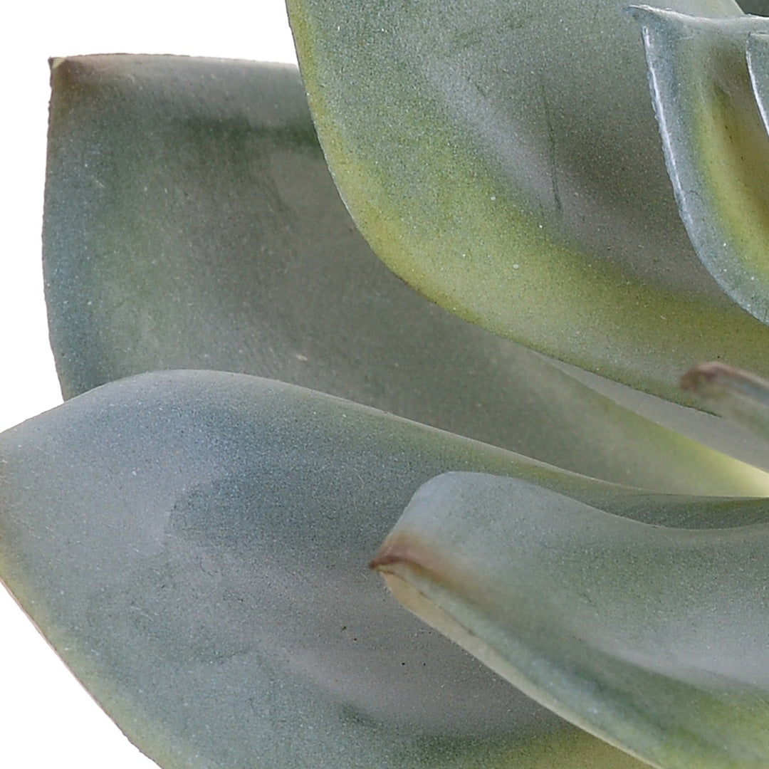2 Pezzi • Succulent artificiale • 15 cm