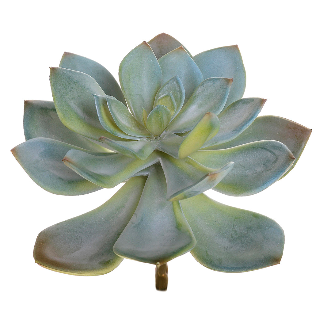 2 Pezzi • Succulent artificiale • 15 cm