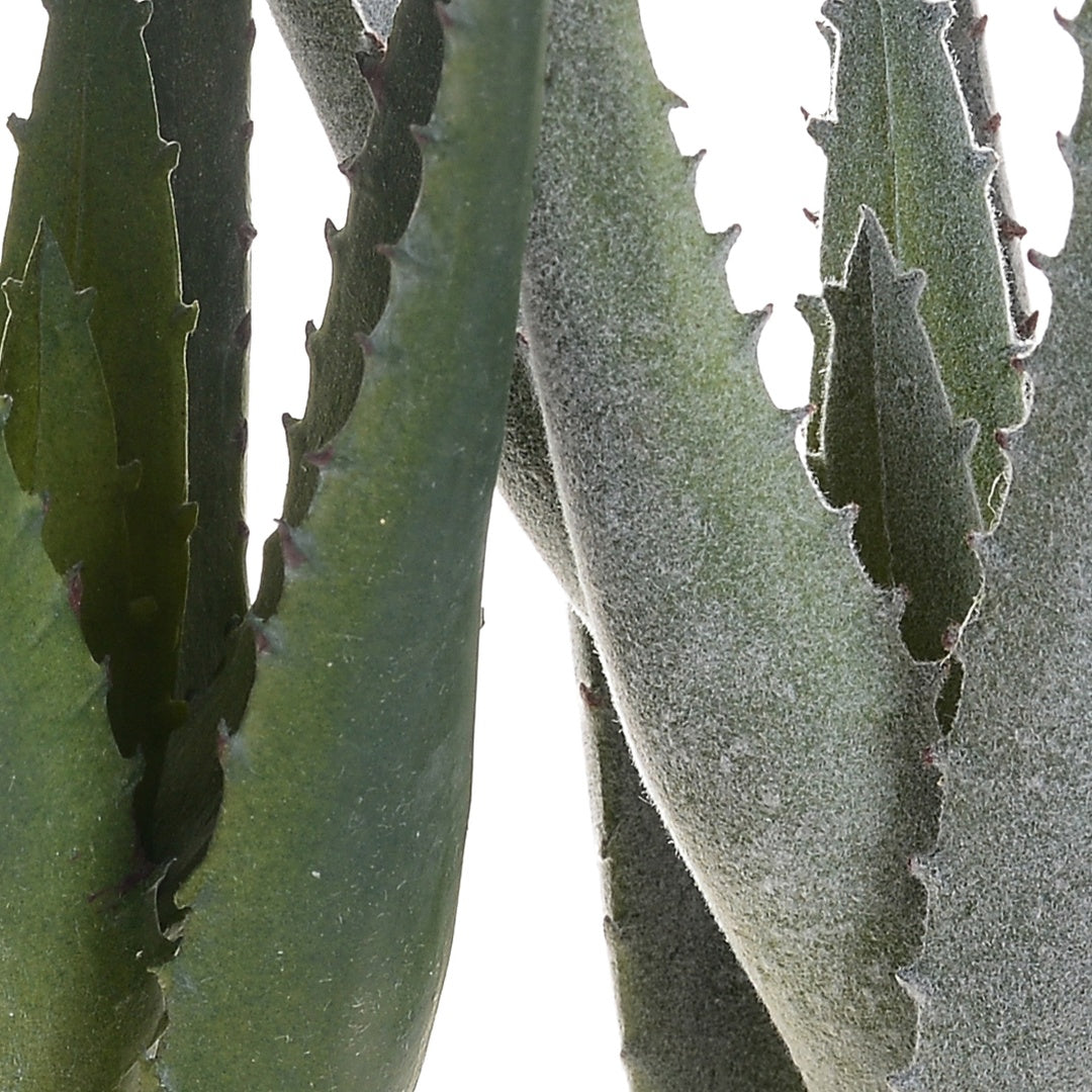 3 Pezzi • Mini aloe artificiale • 22 cm