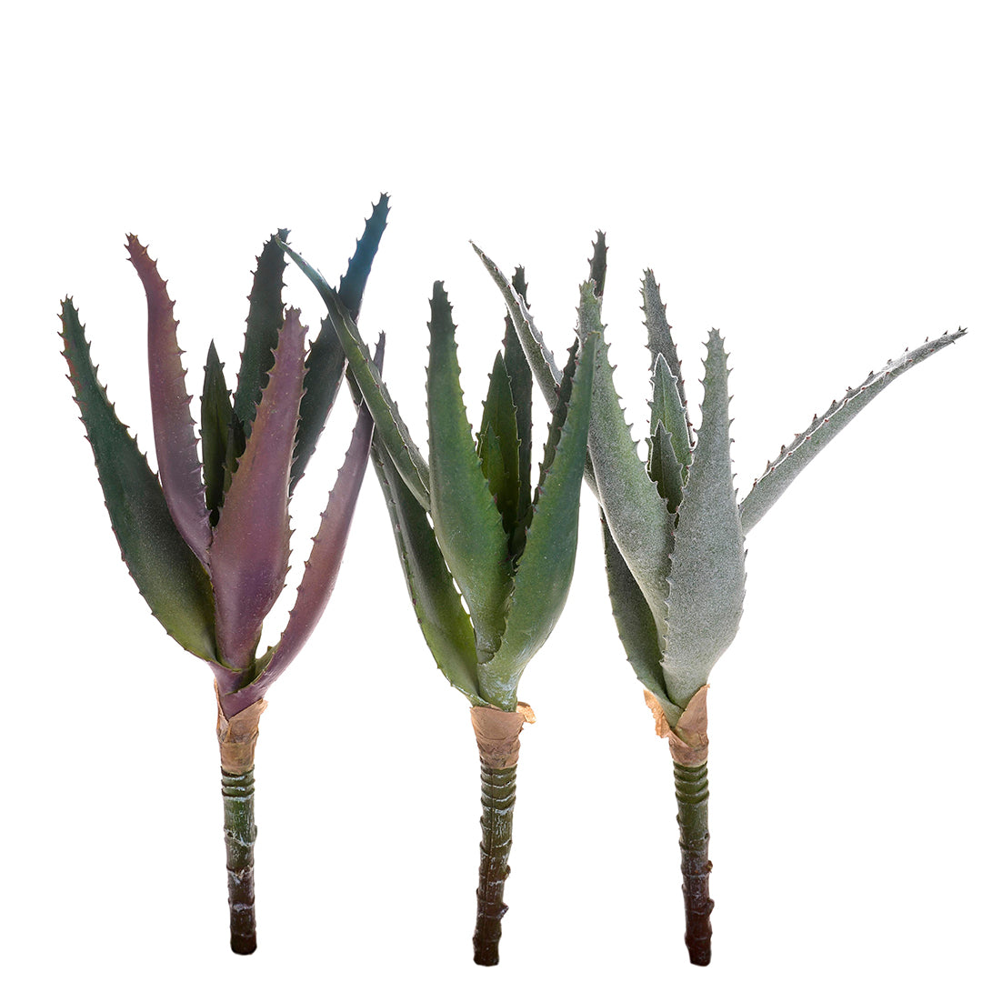 3 Pezzi • Mini aloe artificiale • 22 cm