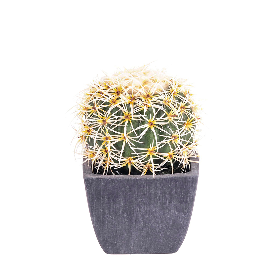 Cactus con vaso artificiale • 14 cm