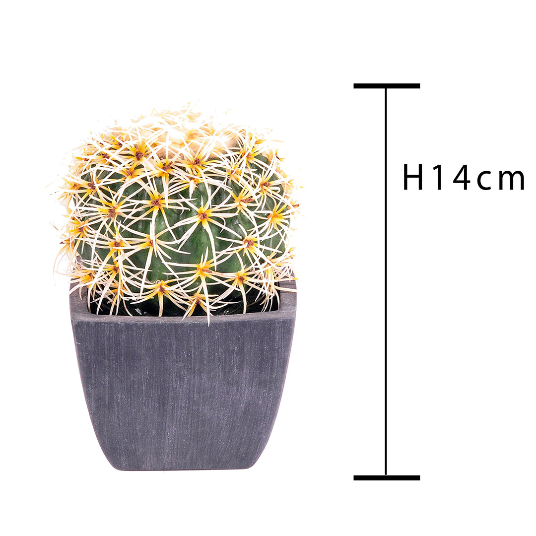 Cactus con vaso artificiale • 14 cm