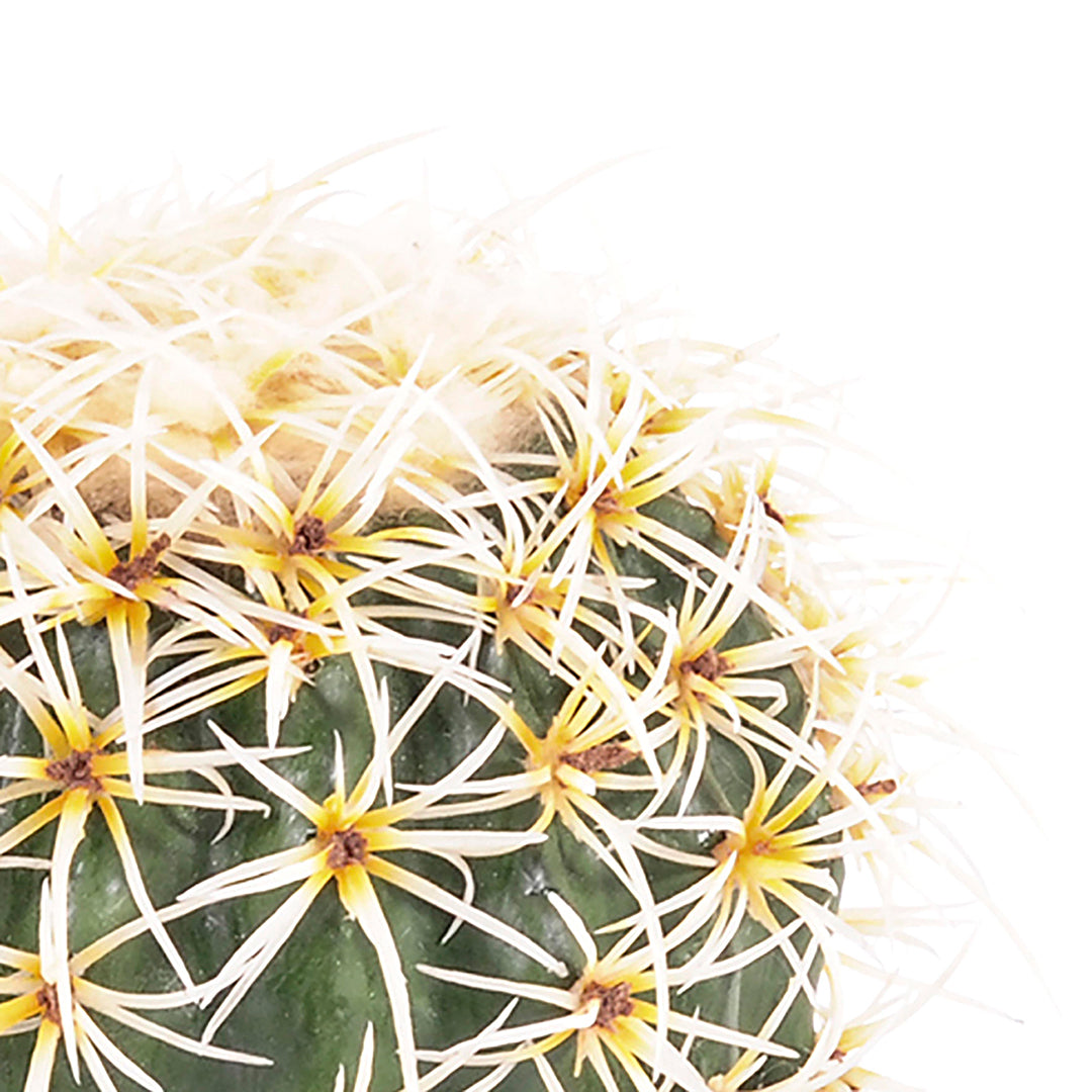 Cactus con vaso artificiale • 14 cm