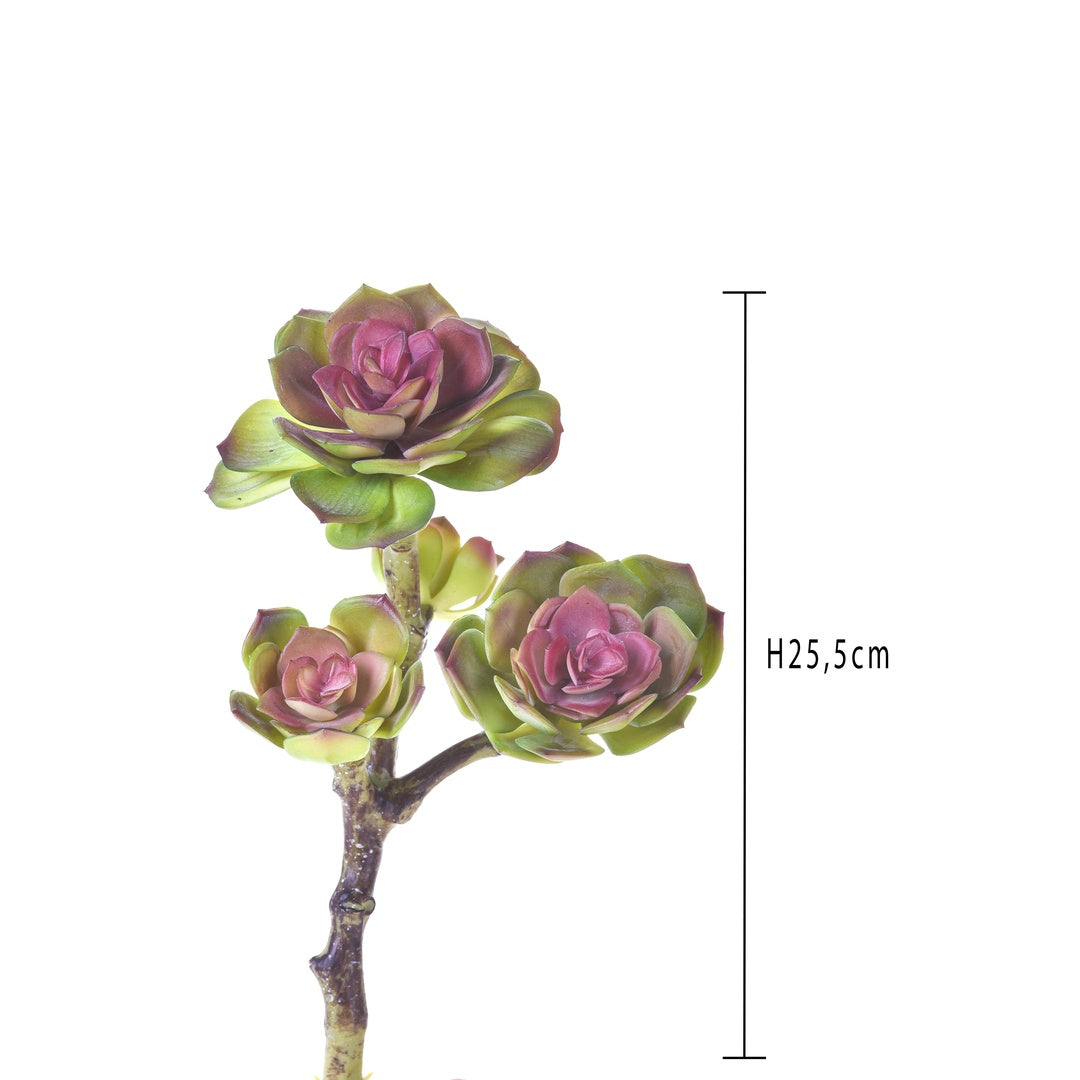 Ramo succulent singolo artificiale • 25,5 cm