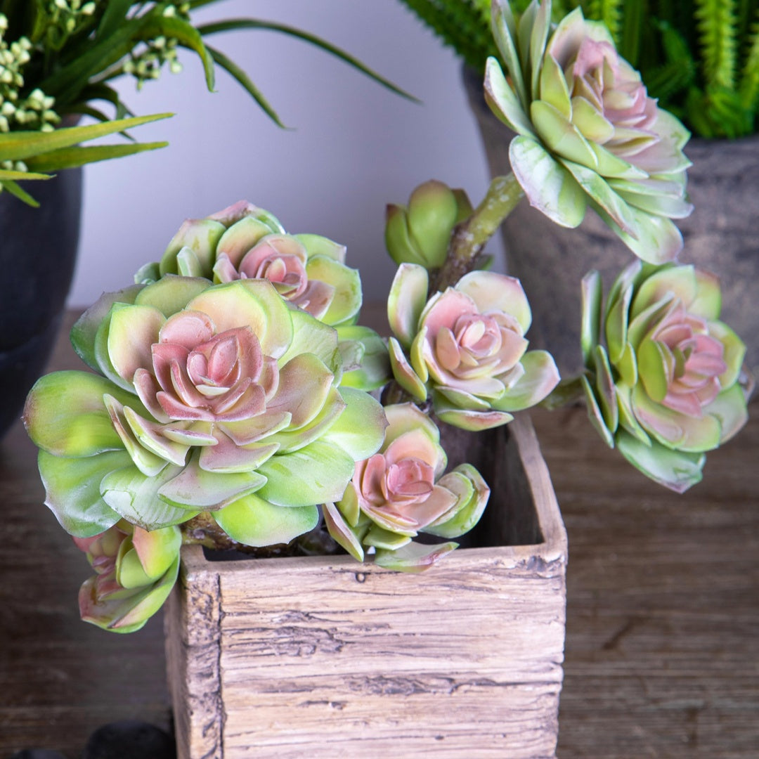 Ramo succulent singolo artificiale • 25,5 cm
