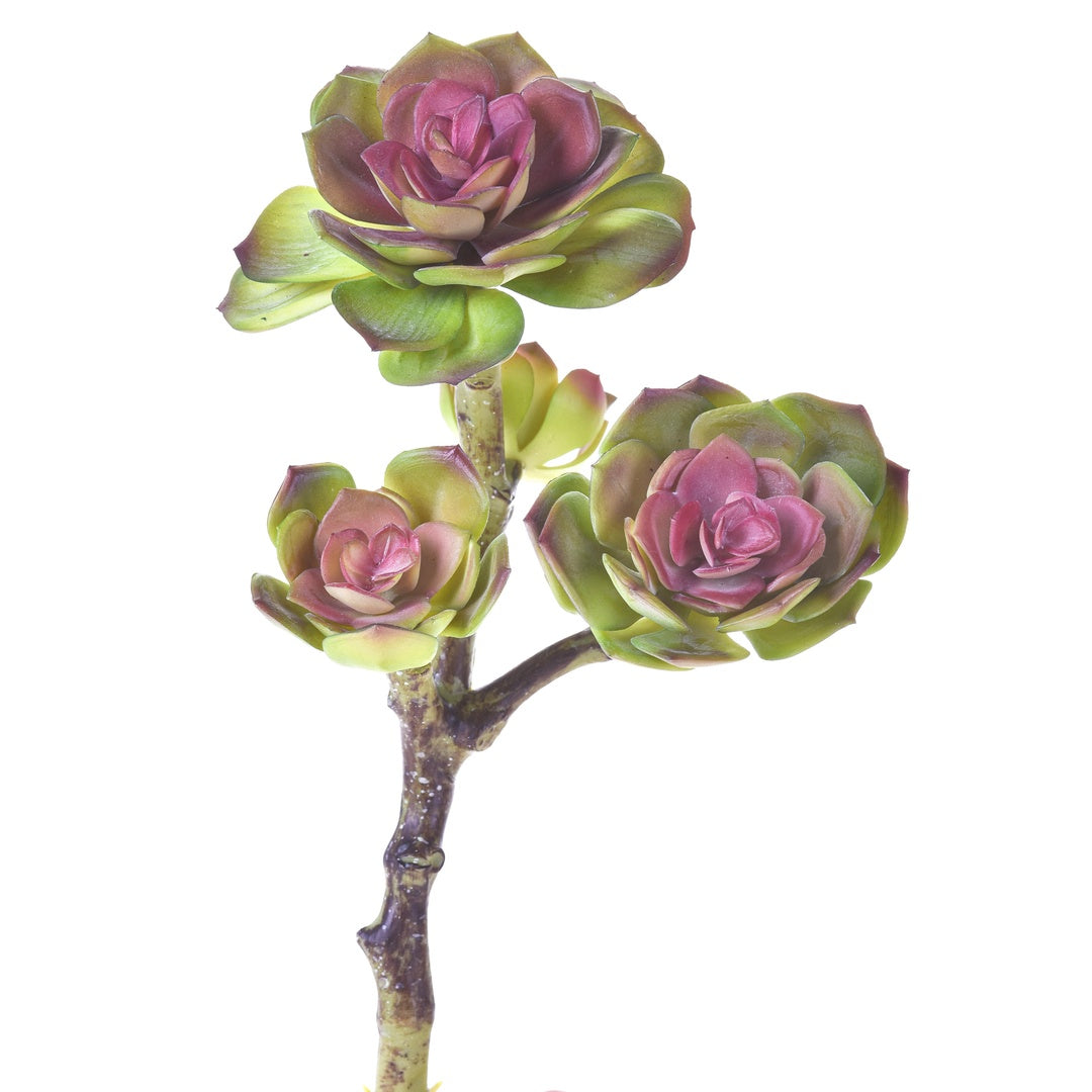 Ramo succulent singolo artificiale • 25,5 cm