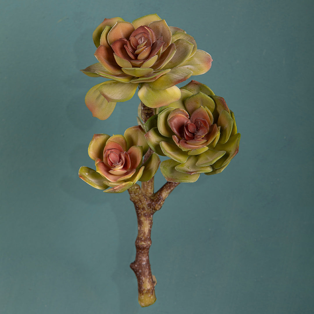 Ramo succulent singolo artificiale • 25,5 cm