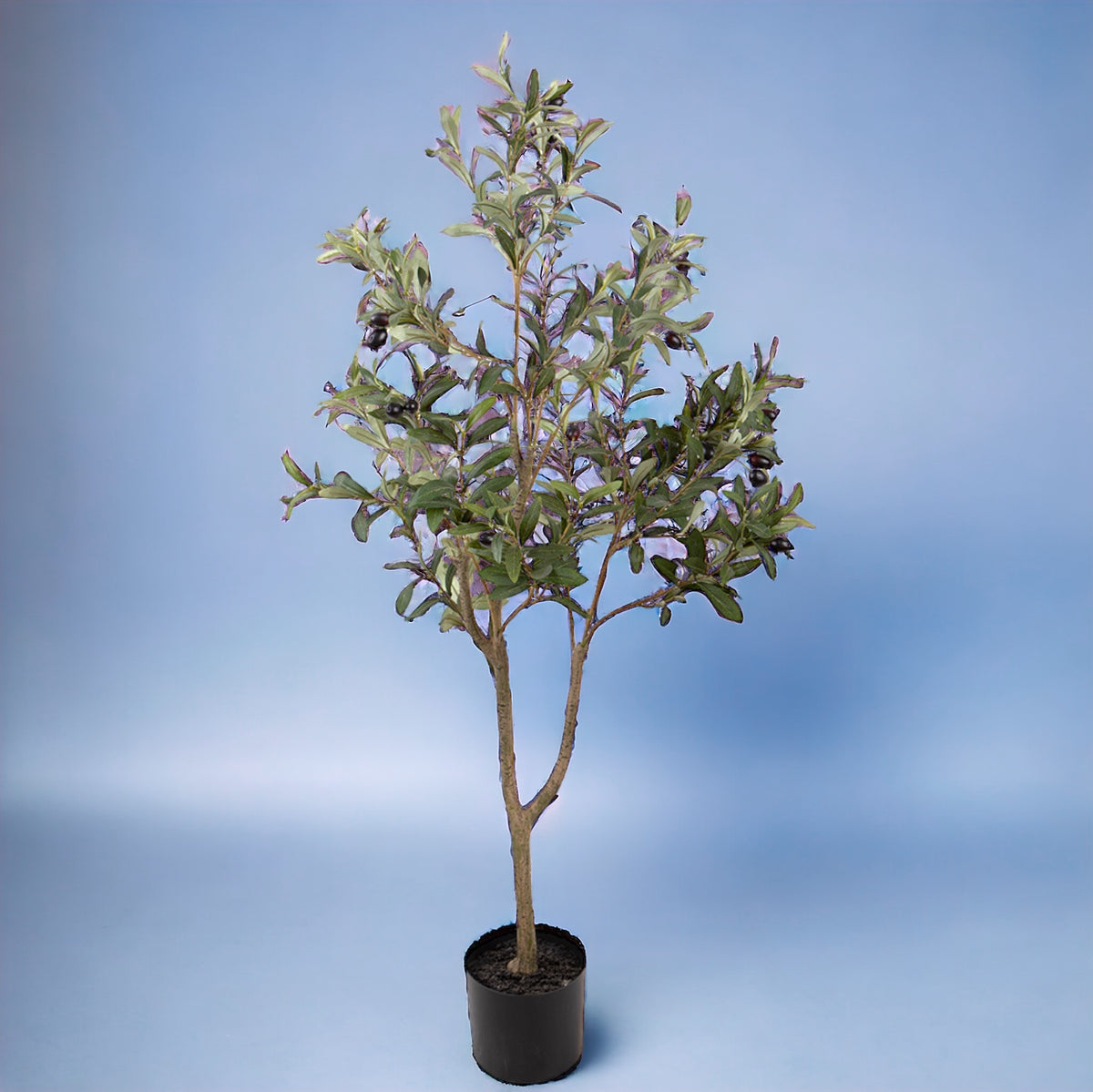 Verde artificiale Pianta Olivo • 120 cm