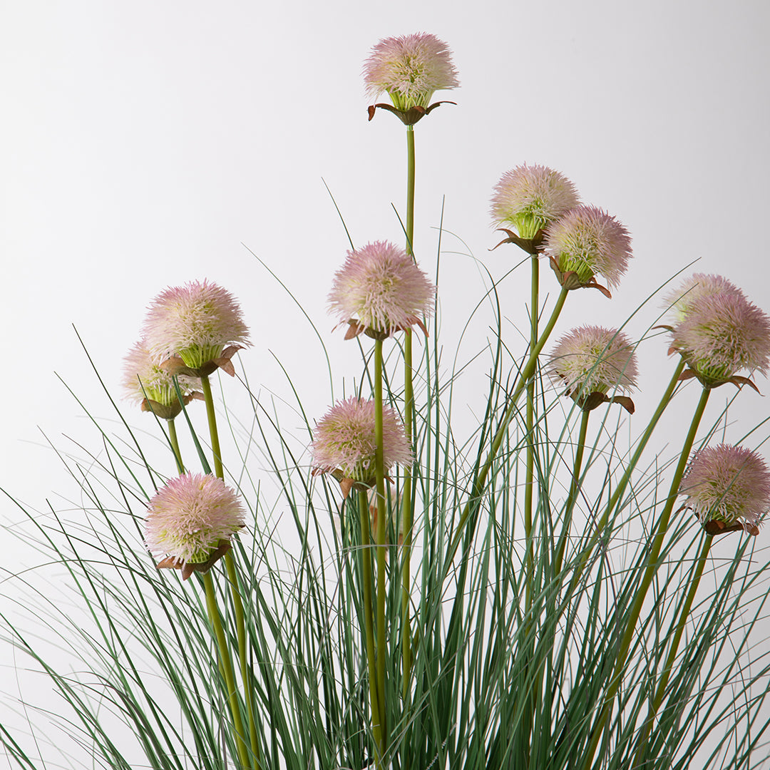Allium per 13 con Vaso • 121 cm