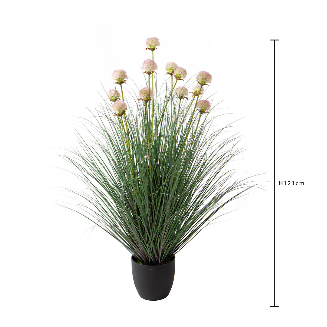 Allium per 13 con Vaso • 121 cm