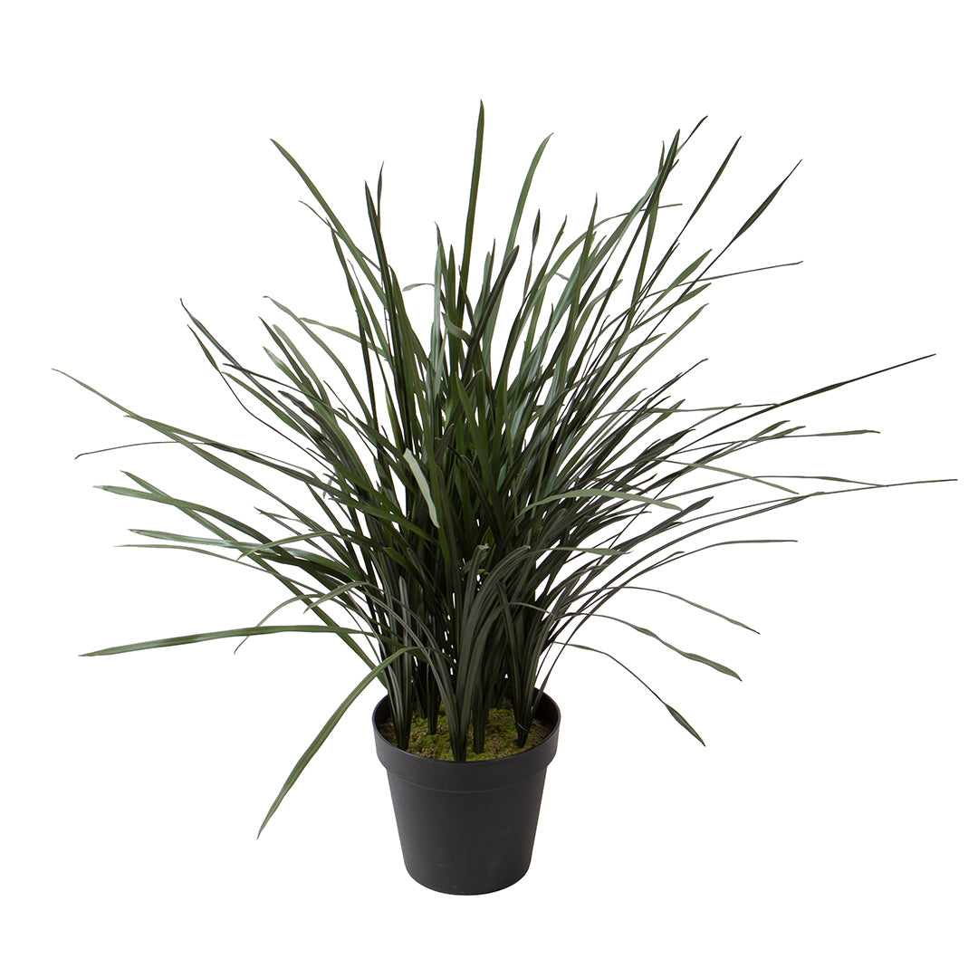 Grass 45 foglie con Vaso Real Touch • 95 cm