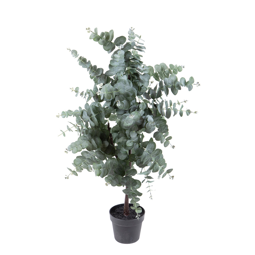 Verde artificiale Pianta di eucalyptus in vaso • 110 cm
