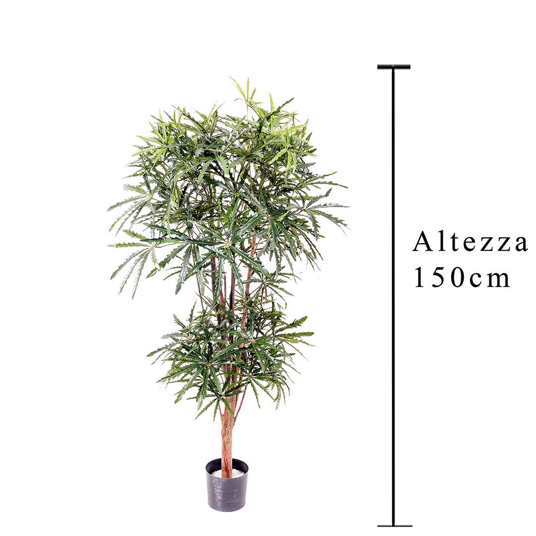 Verde artificiale Aralia a 2 diramazioni 954 foglie • 150 cm