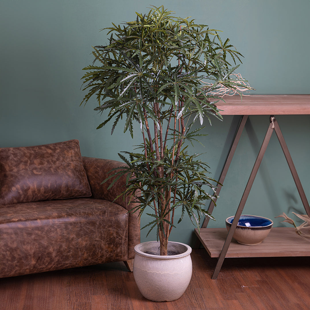 Verde artificiale Aralia a 2 diramazioni 954 foglie • 150 cm
