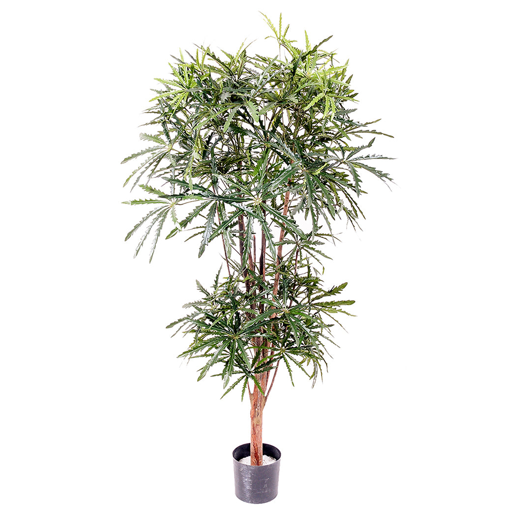 Verde artificiale Aralia a 2 diramazioni 954 foglie • 150 cm