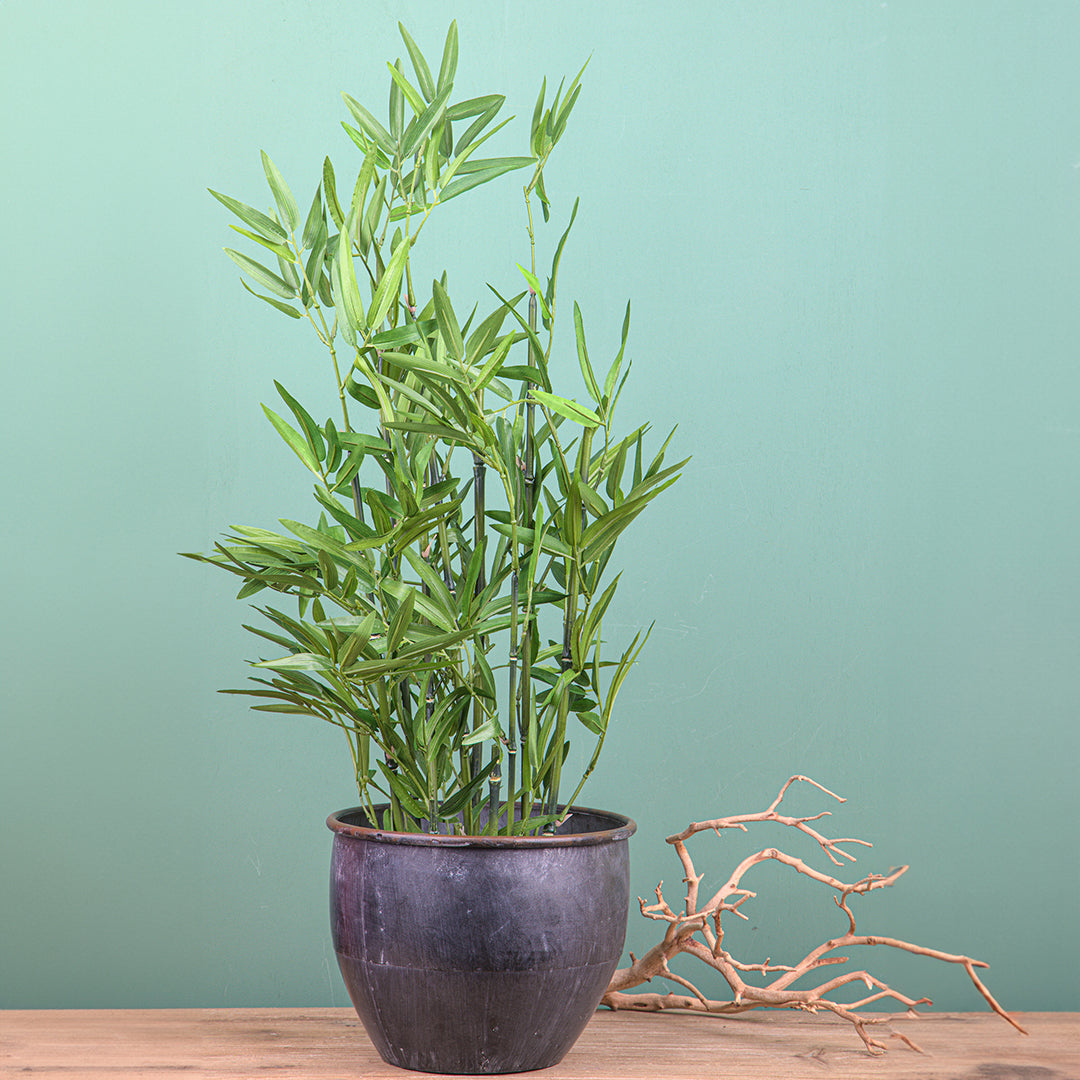 Mini bamboo artificiale con vaso • 76 cm