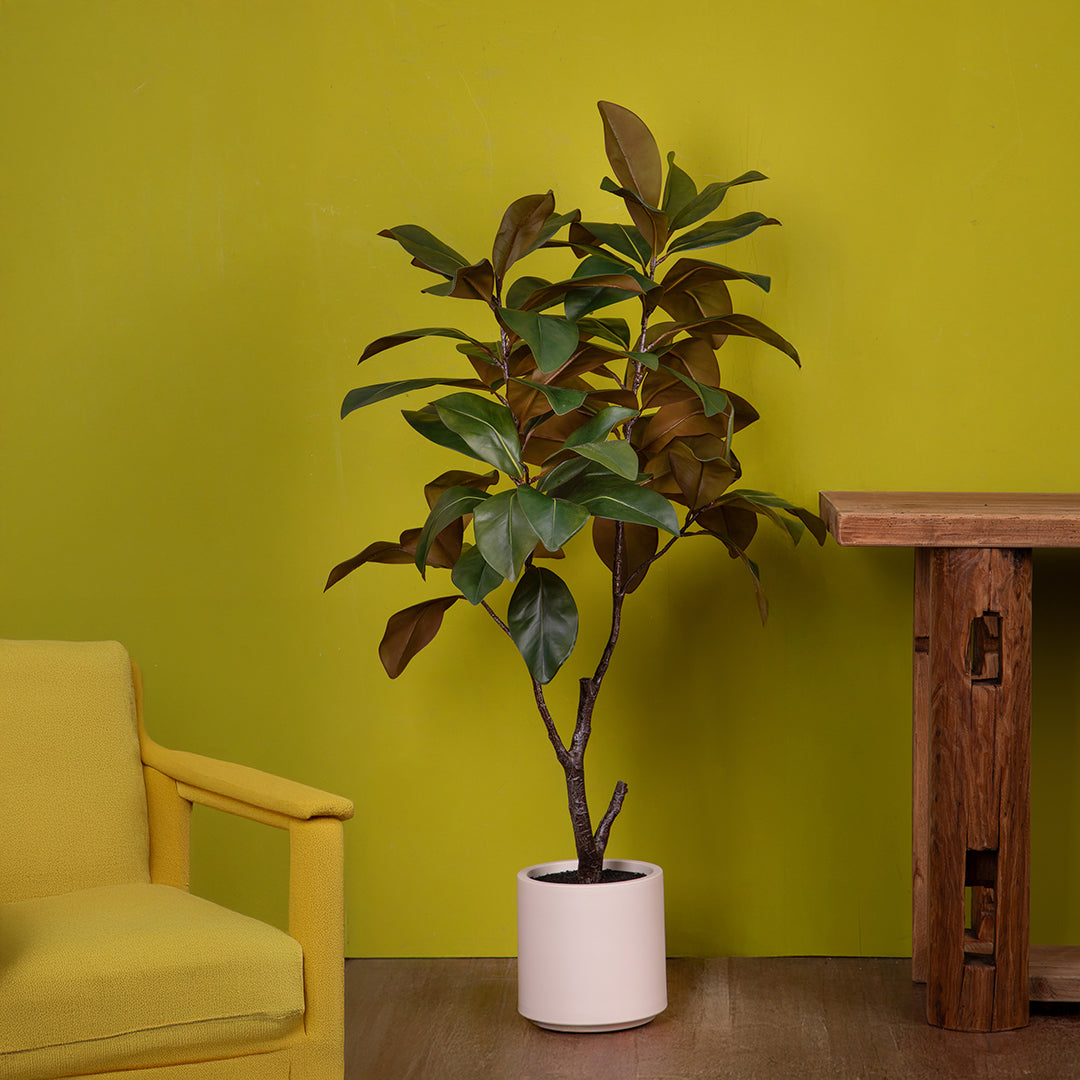 Ficus Real Touch 64 foglie con Vaso • 130 cm