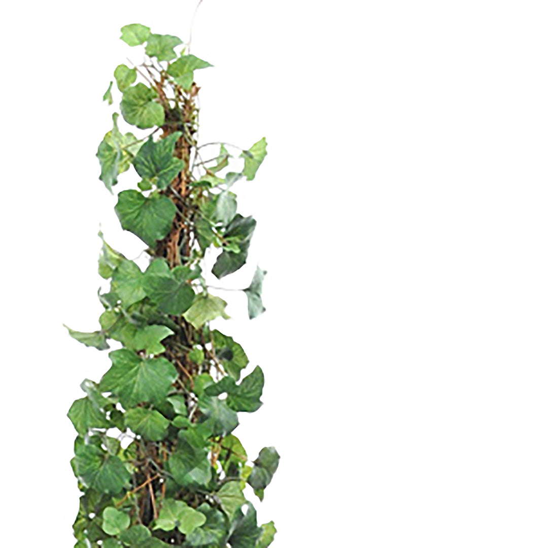Verde artificiale Edera cono • 138 cm