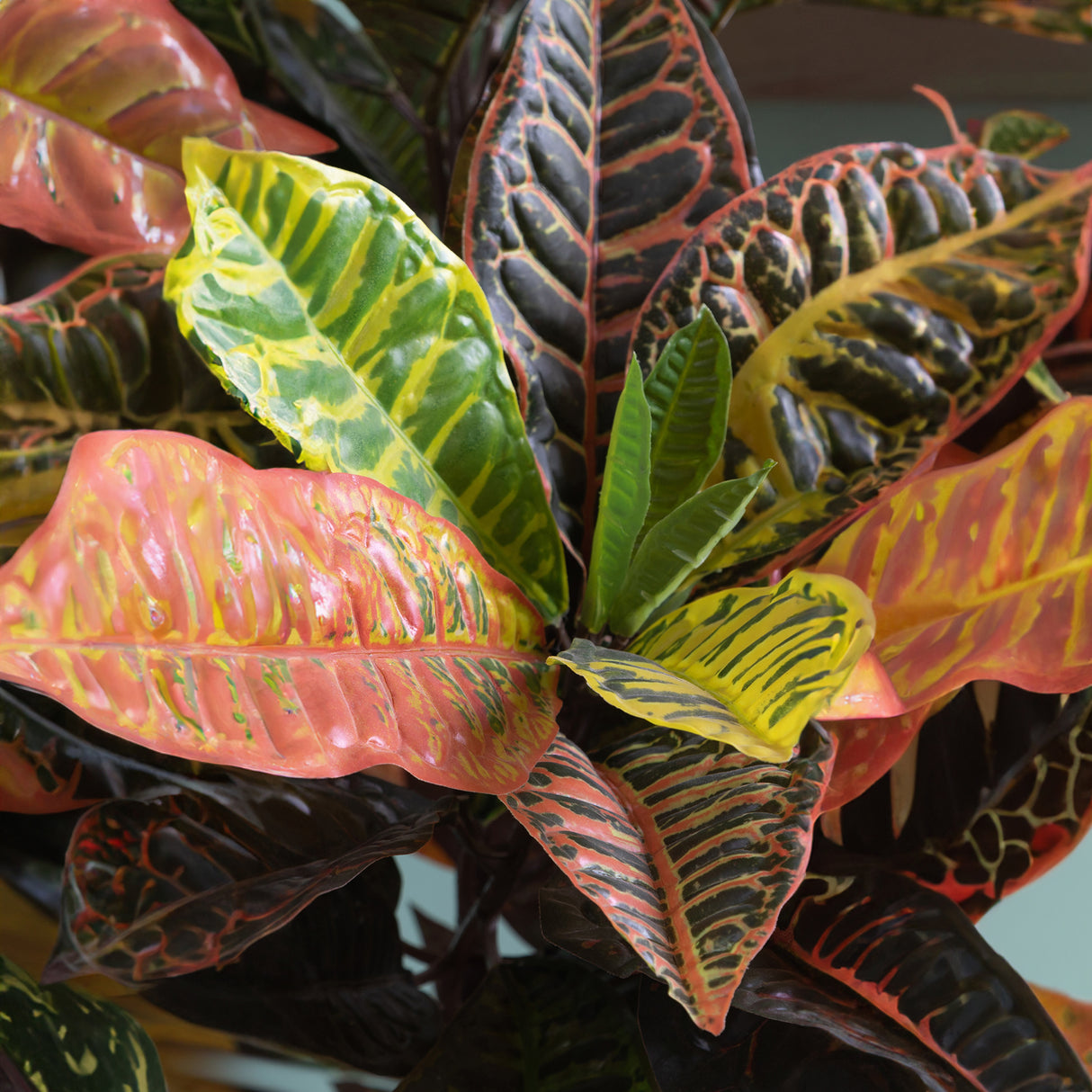 Verde artificiale Croton vaso 136 foglie • 100 cm