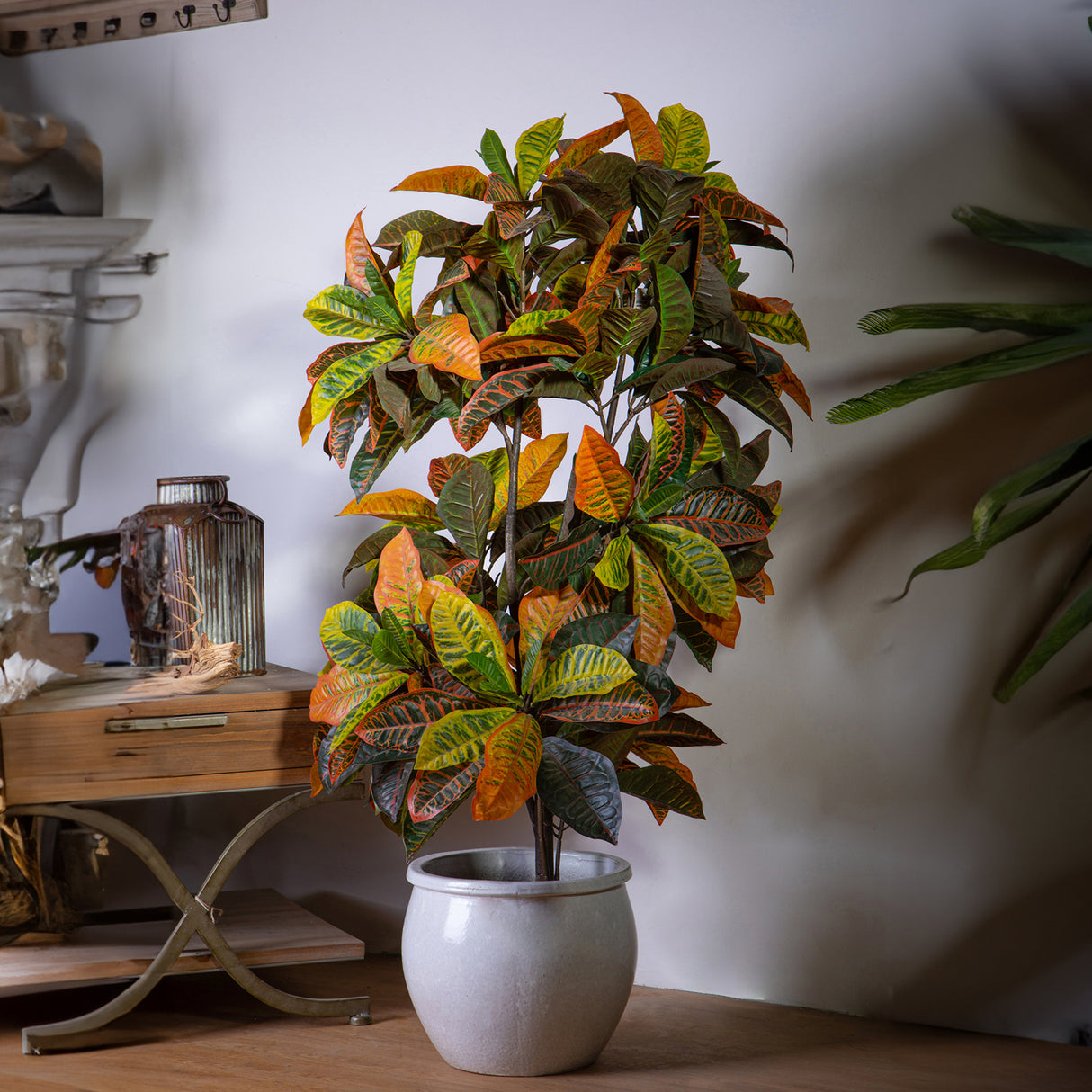 Verde artificiale Croton con vaso • 160 cm