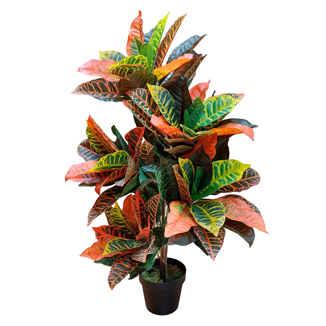 Verde artificiale Croton con vaso • 160 cm