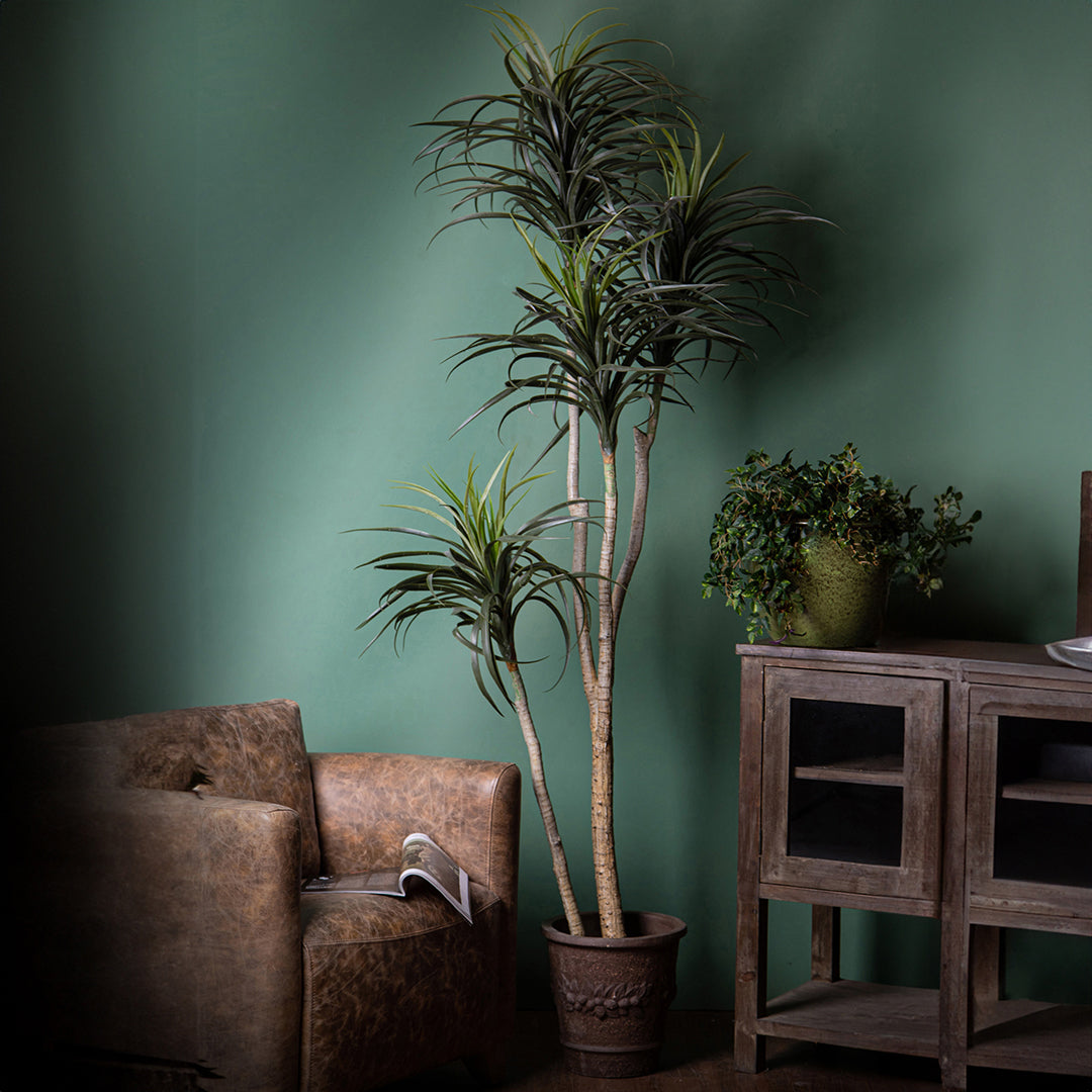 Verde artificiale Nolina artificiale recurvata • 210 cm