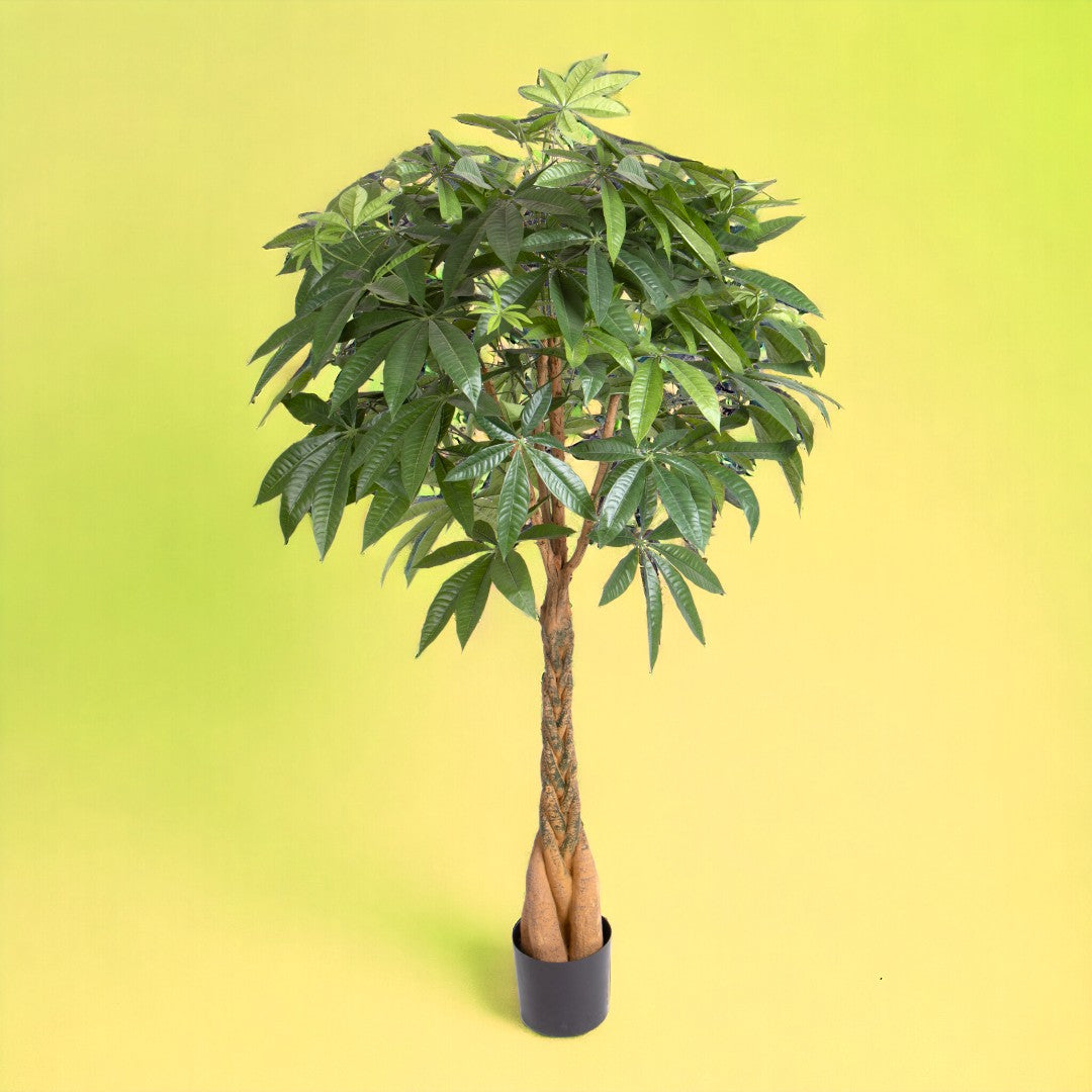 Verde artificiale Pachira 469 foglie vaso • 155 cm