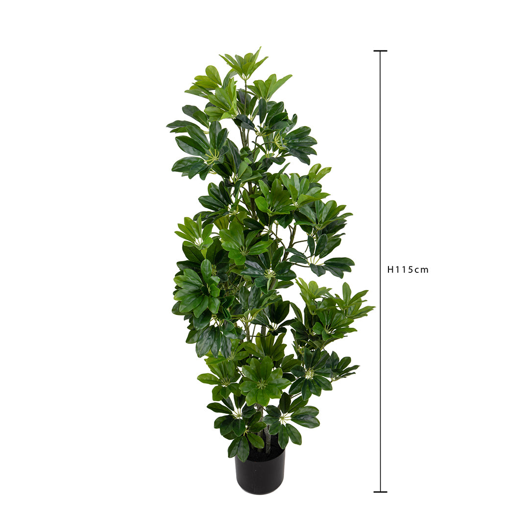 Verde artificiale Pianta di schegglera con vaso • 115 cm