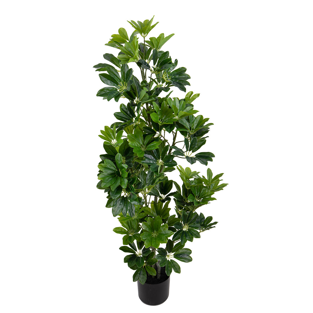 Verde artificiale Pianta di schegglera con vaso • 115 cm