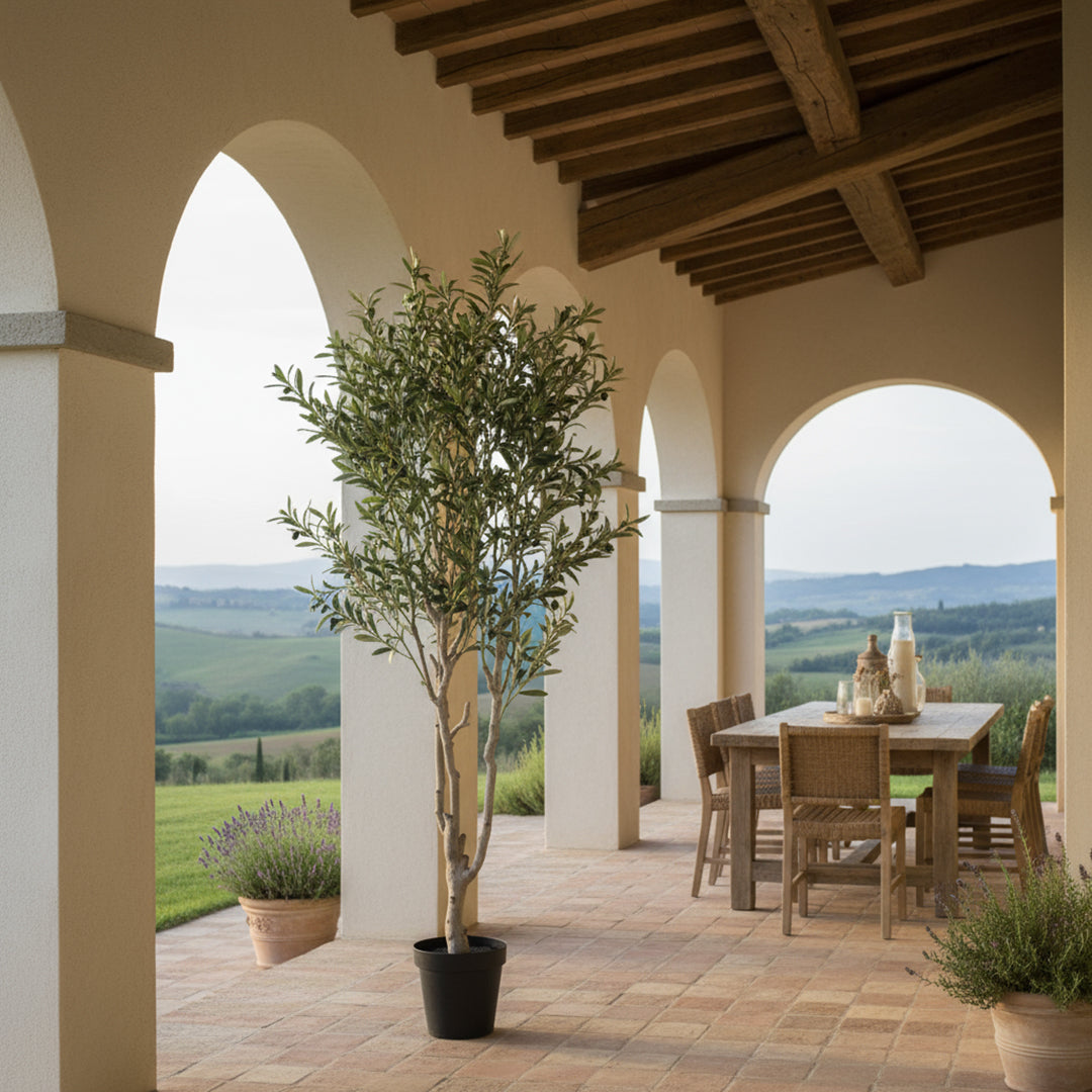 Olivo 1540 foglie con Vaso • 200 cm